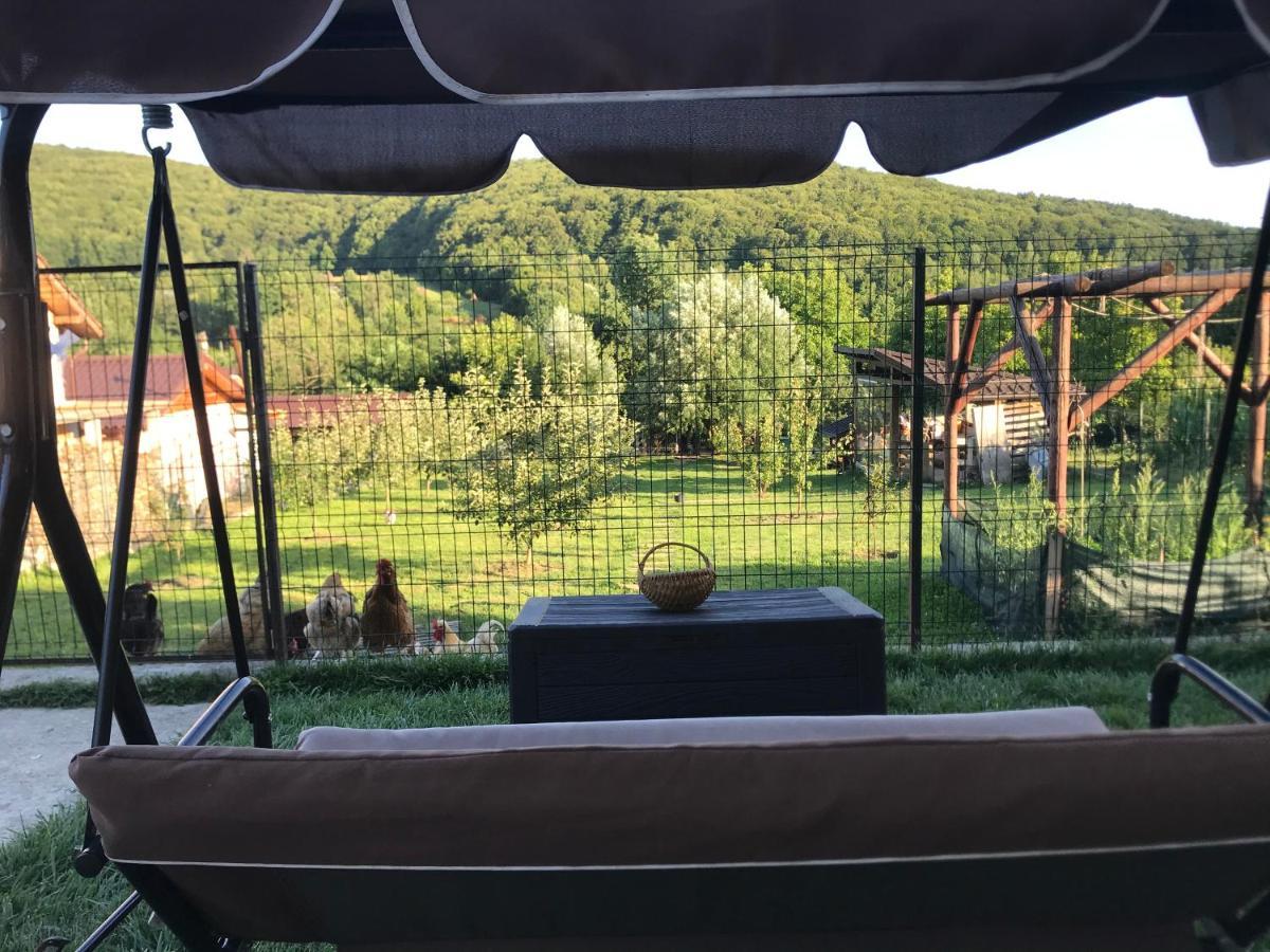 Apartament La Vila Куртя-де-Арджеш Экстерьер фото